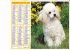 Almanach Des PTT 1982  "chien / Petite Fille, Poussin Et Chien" OBERTHUR - Big : 1981-90