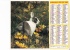 Almanach Des PTT 1982  "chien Et Chatons/ Lapin" OBERTHUR - Grand Format : 1981-90