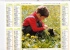 Almanach Des PTT 1985  "enfant Et Chaton / Jeune Garçon Et Chien" Chiot, Aquitaine, Franche-Comté OLLER - Formato Grande : 1981-90