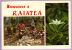 TAHITE - RAIATEA - La Récolte Du Coprah Et Fleur Tiare Apetal Ed. M. Chanson N° 101 Circulé 2 Scans - Tahiti