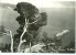 Italy, Riviera Dei Fiori, Diano Marina, Il Molo Unused Real Photo Postcard [P9707] - Imperia