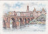 TARN ET GARONNE MONTAUBAN LE PONT VIEUX SUR LE TARN  Editeur Deloche - Montauban