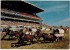 Amérique - Canada - Alberta - Calgary Exhibition Stampede - Calgary