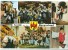 Austria, Grusse Aus Dem Burgenland, 1972 Used Postcard [P9957] - Otros & Sin Clasificación
