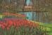 "KEUKENHOF" LISSE HOLLAND , Sonderstempel + St. HARLEM 28.IV.1975, Marke Z.NL. 996(pk A3) - Lisse