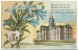 USA, Wyoming State Capitol, Cheyenne, 1910 Used Postcard [10222] - Cheyenne