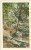 USA, Maiden Hair Falls On Trail No. 3 At "The Shades" Scenic Park, Unused Linen Postcard [10286] - Otros & Sin Clasificación