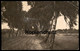ALTE KÜNSTLER POSTKARTE LANDSCHAFTSSTUDIEN No.1812 LANDSCHAFT Fotografie Photographie Photography Allee Alley Birke Tree - Autres & Non Classés