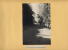 Album  60 Photos : TAHITI - Travaux Des Ponts, Maisons, Collège, Institut Recherche,routes,bulldozer De 1949 à 1951 , Ca - Albums & Collections