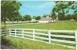 USA, Picturesque Horse Farm In The Heart Of The Bluegrass Region, Lexington, Kentucky, Unused Postcard [10315] - Lexington