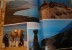 Israël. A Picture Book To Remember Her By. 1988. - Travel/ Exploration