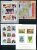 0486 - GB-GUERNSEY - Block 1-5 U.Kleinbogen 340-351,436-447 U.470-481 Postfrisch - Mnh Mini Sheets And Collective Sheets - Guernsey