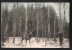 Libramont. La Chasse.  Un Chasseur Vise Un Cerf.  Hôtel Duroy  -  2 Scans. - Libramont-Chevigny