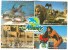 Australia, Atlantis, Yanchep Sun City, W.A. 1986 Used Postcard [10599] - Other & Unclassified
