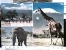 ELEFANTE  GIRAFFA  ZEBRA  IN KENYA VB1997 STAMP 10 / 5  DV1728 - Elefantes