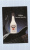CPSM Publicitaire - Malibu Coconut Light Drink - Bouteille Apéritif Alcool - Guitare électrique - Altri & Non Classificati