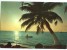 Puerto Cortez, Costa Norte De Honduras, Unused Postcard [10803] - Honduras