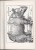Delcampe - Lib083 Catalogo D'Arte Antica, Maestri Incisori Sec. XV E XVI, Mantegna, Durer, Cranach, Van Leyden, Aldegrever, Graveur - Kunst, Antiek