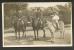 1909  ENGLAND , CHILDREN  LITTLE BOY  RIDING  HORSE  MULE ,  THORPE LE SOKEN  STUDIO PHOTO - Other & Unclassified