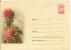 Russia USSR 1958 Fleurs Flowers Blumen Flora Plants Envelope - 1950-59