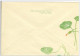 Russia USSR 1966 Fleurs Flowers Flower Blume Blumen Flora Plants Envelope - 1960-69