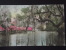 CHARLESTON (South Carolina, Etats-Unis) - Magnolia Gardens - Voyagée En 1926 - Charleston