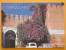 TAROUDANT - Hôtel Salam - Autres & Non Classés