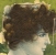 Portrait Of Young Woman Painted With NATURAL HAIR  - 1904 Postcard CIRCULATED In URUGUAY - Other & Unclassified