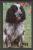 USSR  RUSSIA  POCKET CALENDAR  1991  DOG  SPANIEL - Small : 1981-90