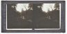 BRAZIL RIO DE JANEIRO &amp; PARK ( PETROPOLIS ? ) X5 GLASS SLIDE STEREO PHOTOGRAPHS  (CRACKED) ORIGINAL VINTAGE CA1900 - Diapositivas De Vidrio