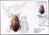 Russia 2012 «Russian Insects» Beetles MC Ditiscus (cancelled With Lucanus Stag Beetle) - Other & Unclassified