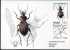 Russia 2012 «Russian Insects» Beetles MC Carabus (cancelled With Lucanus Stag Beetle) - Other & Unclassified
