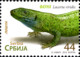 Serbia 2012 MiNr. 460 - 463  Serbien Reptiles Turtles Snakes 4v  MNH** 5,00 € - Snakes