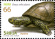 Serbia 2012 MiNr. 460 - 463  Serbien Reptiles Turtles Snakes 4v  MNH** 5,00 € - Serpents