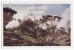 USA YELLOWSTONE NATIONAL PARK, STEAM ERUPTION At ROARING MOUNTAIN~ C1940s-50s Vintage Unused Postcard  [o2885] - USA National Parks