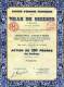 Société D' Energie Electrique De La Ville De Bizerte Action De 250 Francs De 1939 - Afrique