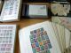 MASSIVE GERMANY STAMP COLLECTION (BRD + REICH + DDR...) - Colecciones