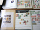 MASSIVE GERMANY STAMP COLLECTION (BRD + REICH + DDR...) - Colecciones