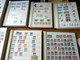 MASSIVE GERMANY STAMP COLLECTION (BRD + REICH + DDR...) - Collections