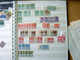 Delcampe - MASSIVE GERMANY STAMP COLLECTION (BRD + REICH + DDR...) - Colecciones