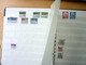 Delcampe - MASSIVE GERMANY STAMP COLLECTION (BRD + REICH + DDR...) - Colecciones