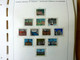 Delcampe - MASSIVE GERMANY STAMP COLLECTION (BRD + REICH + DDR...) - Colecciones