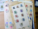 Delcampe - MASSIVE GERMANY STAMP COLLECTION (BRD + REICH + DDR...) - Colecciones