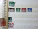 Delcampe - MASSIVE GERMANY STAMP COLLECTION (BRD + REICH + DDR...) - Collections