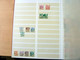 Delcampe - MASSIVE GERMANY STAMP COLLECTION (BRD + REICH + DDR...) - Collections