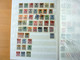 Delcampe - MASSIVE GERMANY STAMP COLLECTION (BRD + REICH + DDR...) - Collections