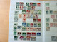 Delcampe - MASSIVE GERMANY STAMP COLLECTION (BRD + REICH + DDR...) - Collections