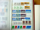 Delcampe - MASSIVE GERMANY STAMP COLLECTION (BRD + REICH + DDR...) - Collections