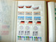 Delcampe - MASSIVE GERMANY STAMP COLLECTION (BRD + REICH + DDR...) - Colecciones