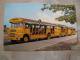 Buses - Barbados - W.I.  West Indies  D77808 - Barbades